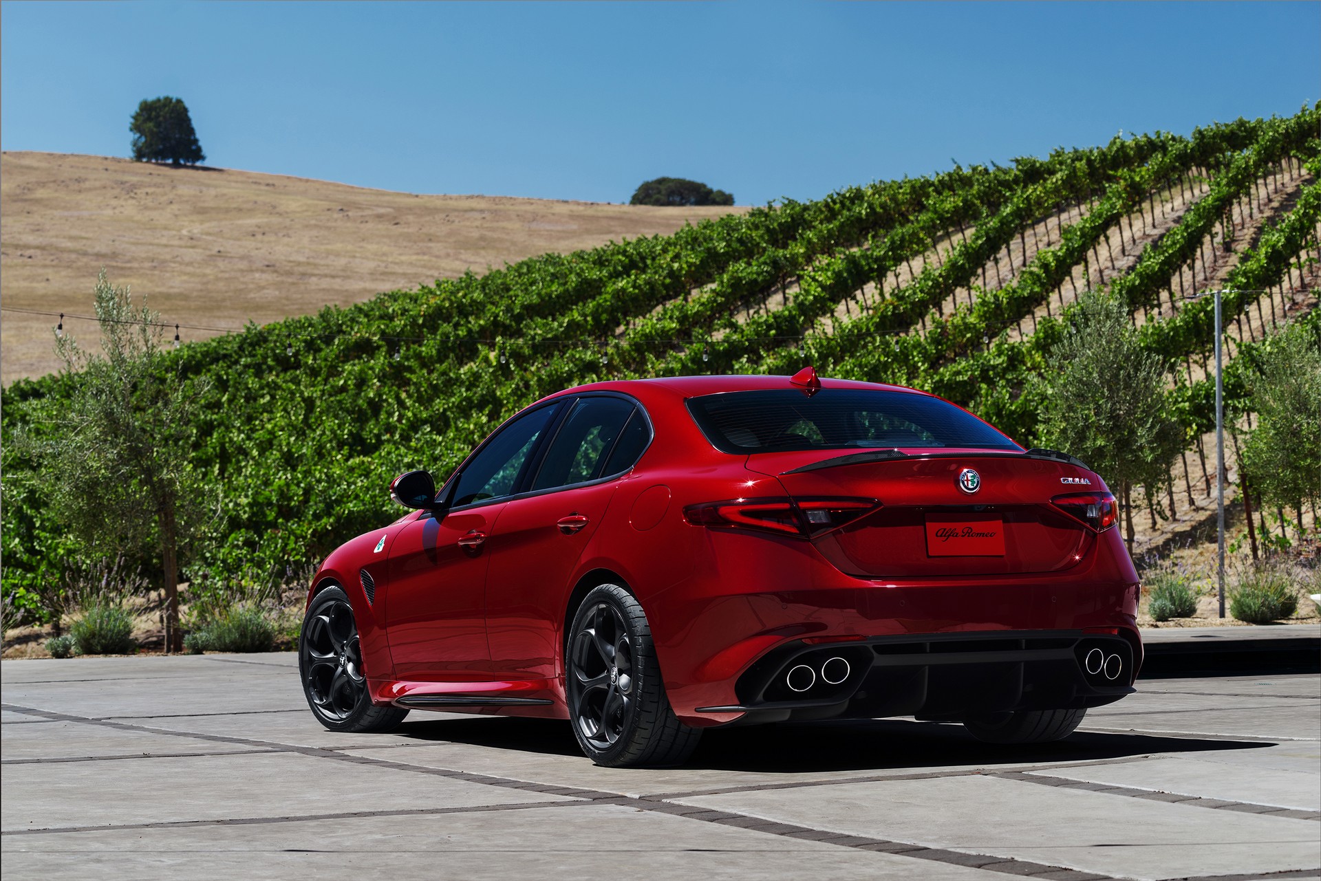 2019-Alfa-Romeo-Giulia-45 2019 Alfa Romeo Giulia Gains New Styling Packages, Additional Equipment