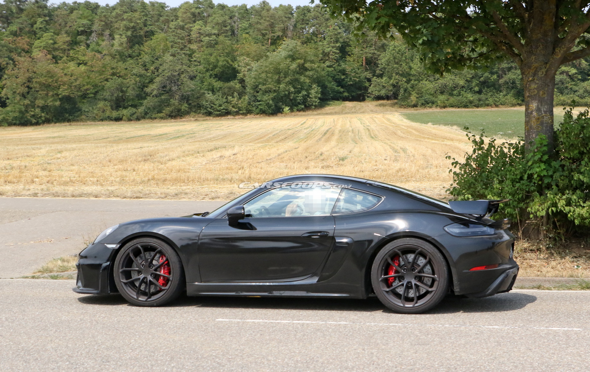 Porsche Cayman GT4 14 2019 Porsche Cayman GT4 Is The Six-Pot 718 That Purists Have Been Waiting For (Updated)