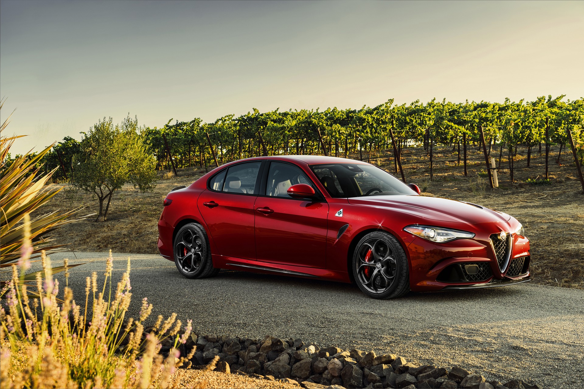 2019-Alfa-Romeo-Giulia-46 2019 Alfa Romeo Giulia Gains New Styling Packages, Additional Equipment