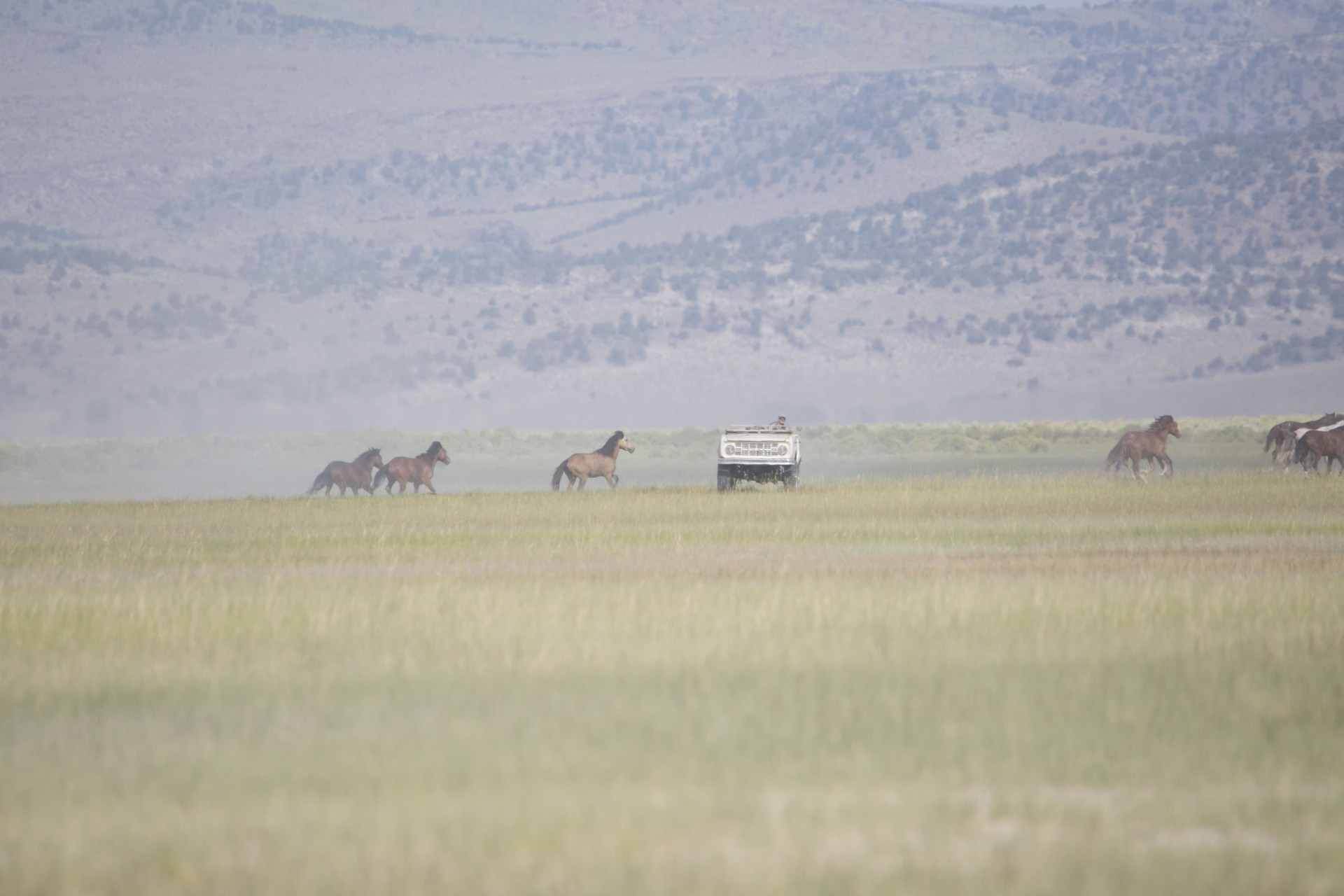 Icon Bronco BR Derelict-44 Icon Bronco BR Derelict Combines Old School Looks With A 5.0-Liter Coyote V8