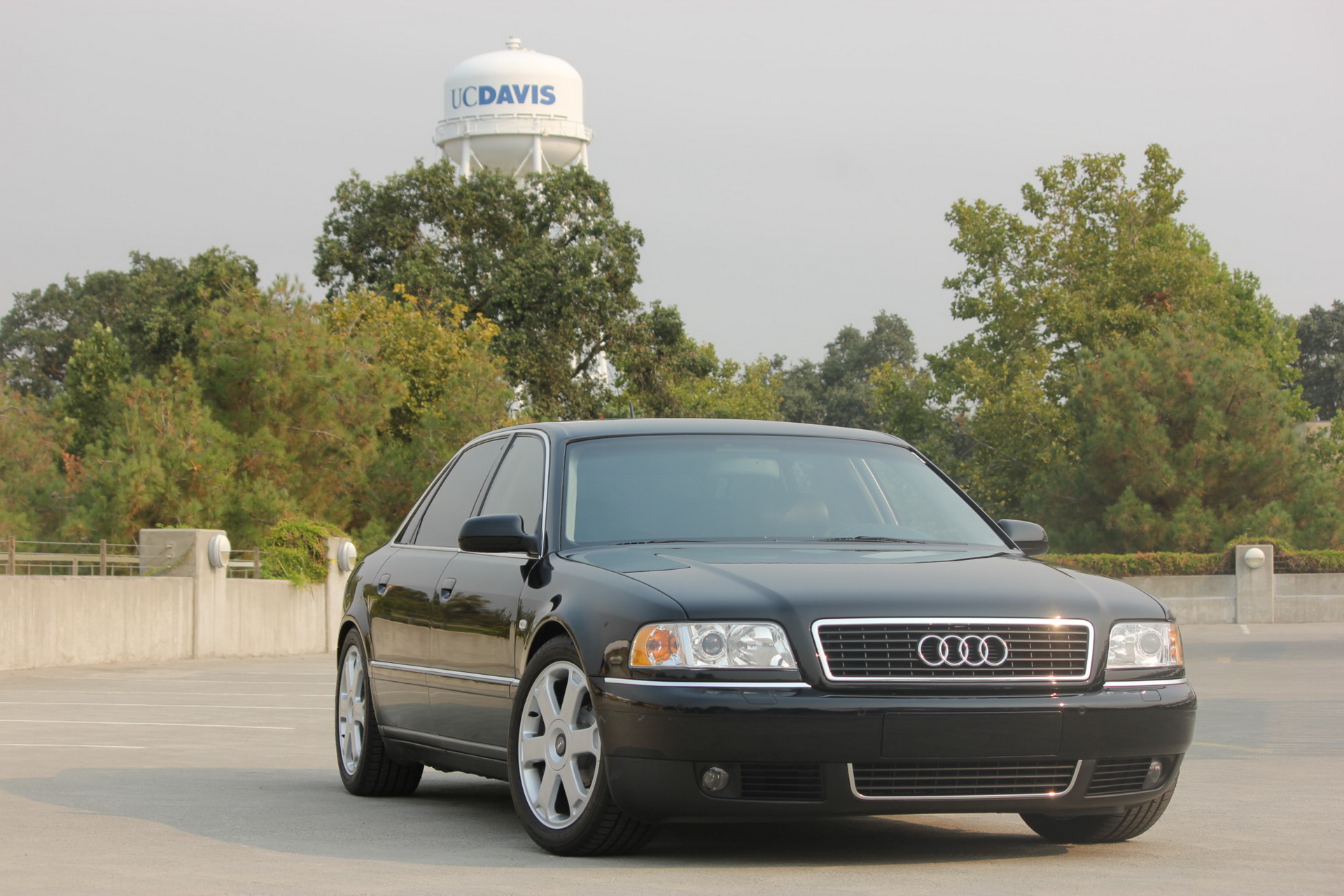 2003-audi-a8l-auction-bat-8 $21k Wasn’t Enough To Secure This Refurbished 2002 Audi A8L