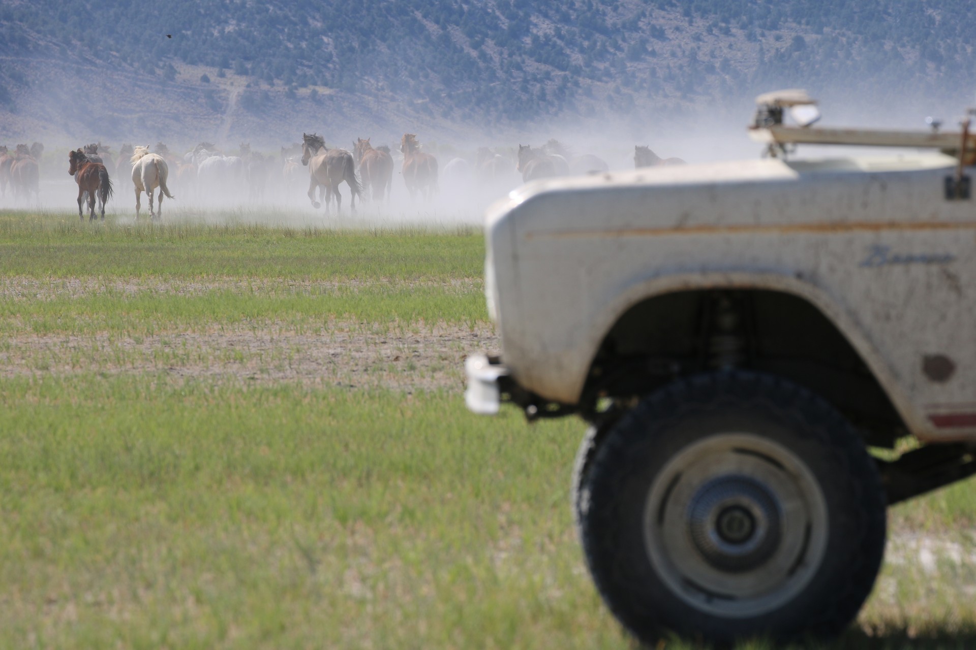 Icon Bronco BR Derelict-28 Icon Bronco BR Derelict Combines Old School Looks With A 5.0-Liter Coyote V8
