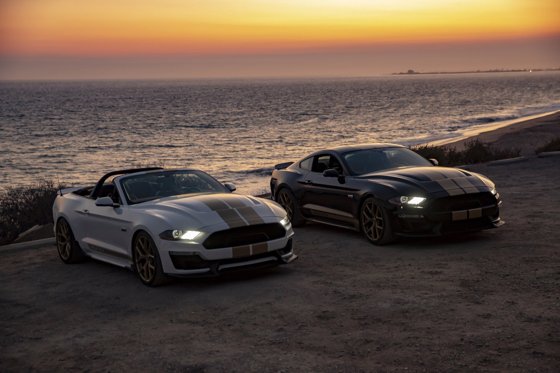 2019 Shelby GT-2 2019 Shelby GT Bows With Ford Performance Parts, 480 Or 700+ HP