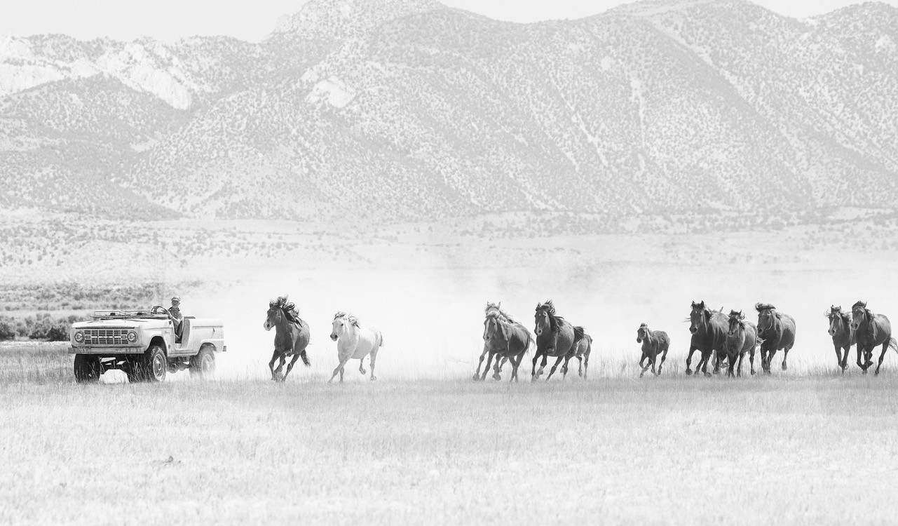 Icon Bronco BR Derelict-5 Icon Bronco BR Derelict Combines Old School Looks With A 5.0-Liter Coyote V8