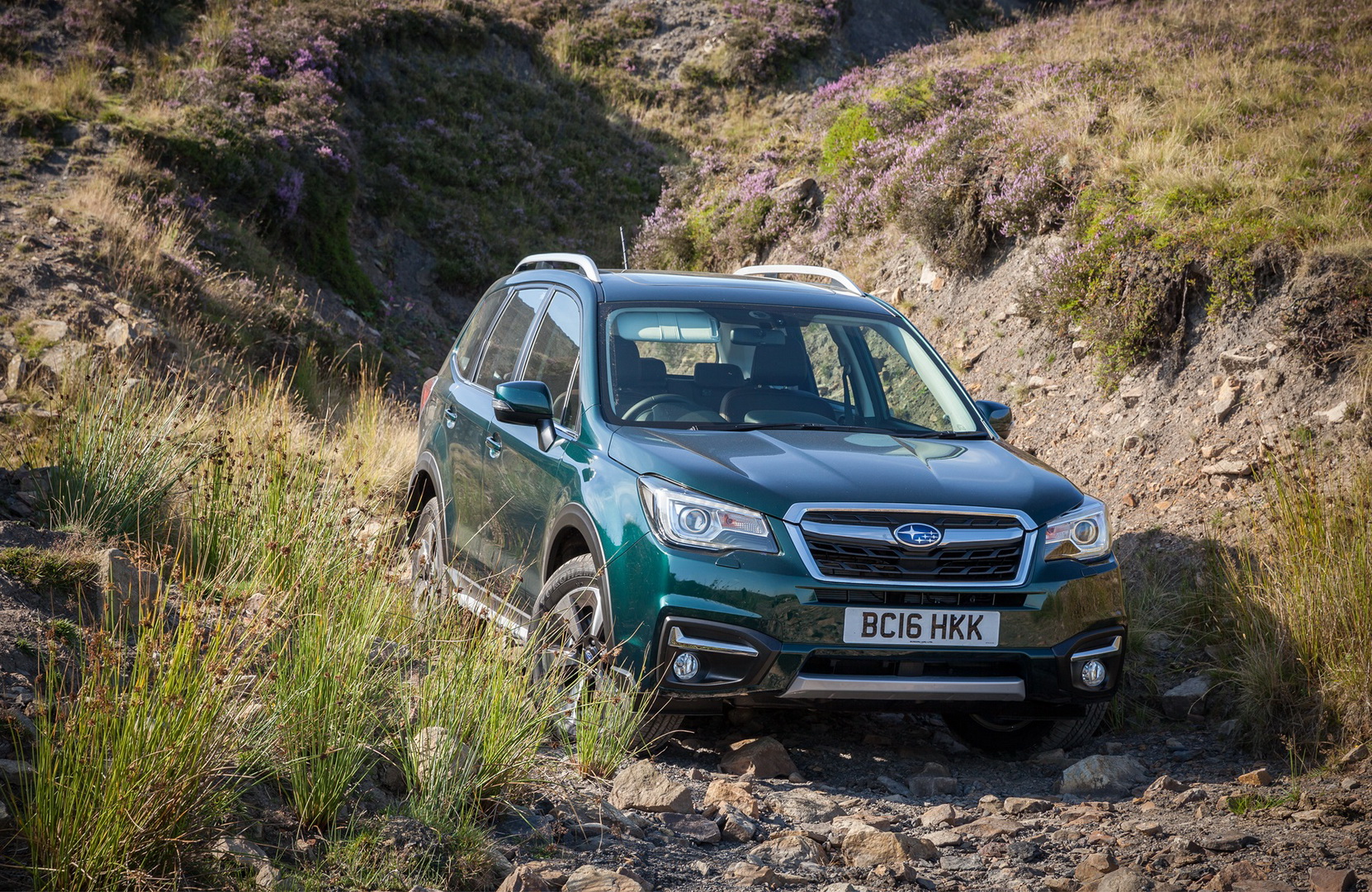 subaru-forester-3 Subaru’s Success In The US Brings More Struggle Back In Japan