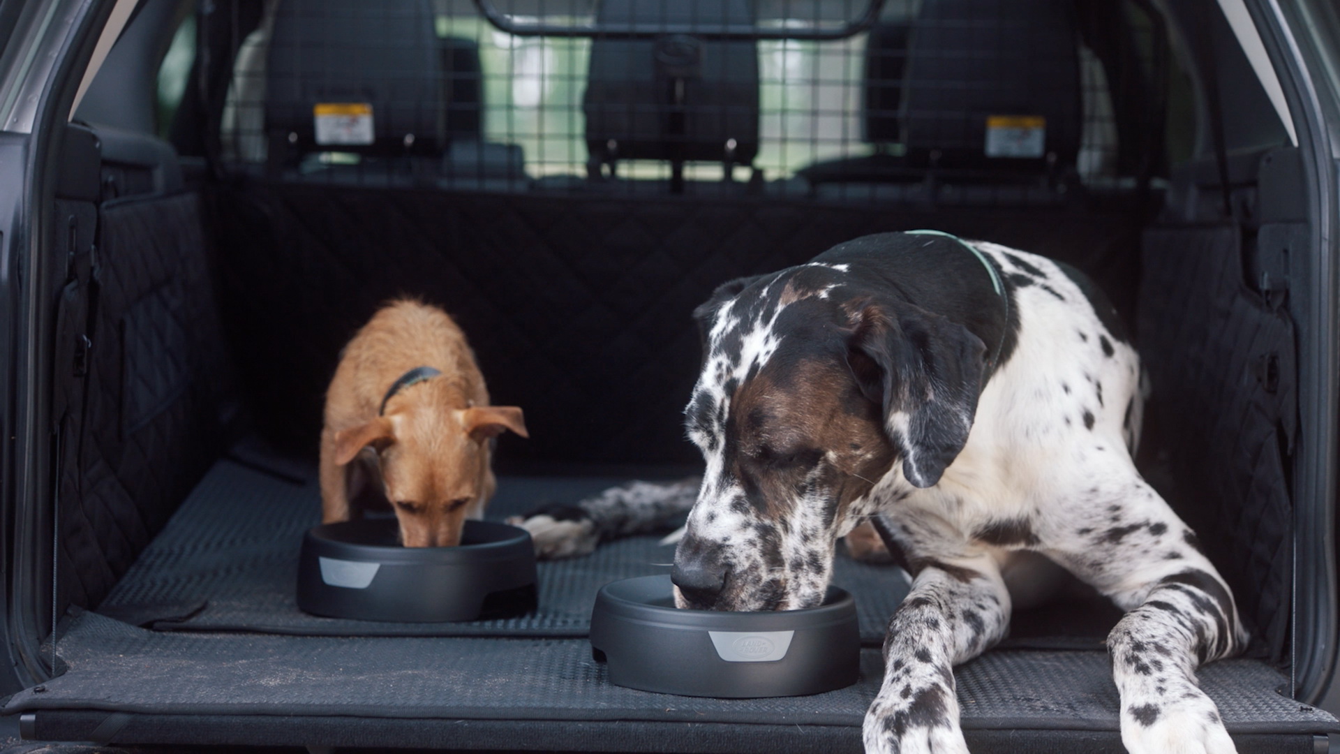 LandRover-Pet-Packs-01 Land Rover Launches New Pet Packs For Your Furry Four-Legged Passengers