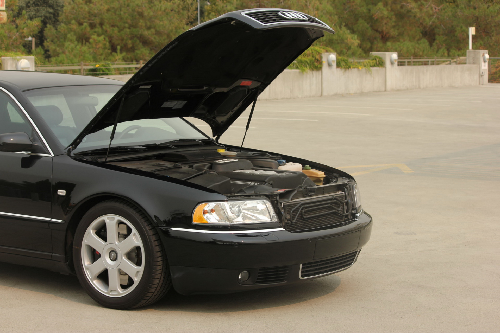 2003-audi-a8l-auction-bat-35 $21k Wasn’t Enough To Secure This Refurbished 2002 Audi A8L