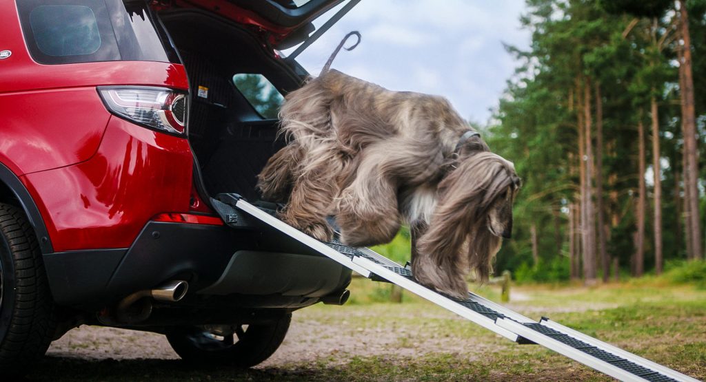 Land Rover Launches New Pet Packs For Your Furry Four-Legged Passengers