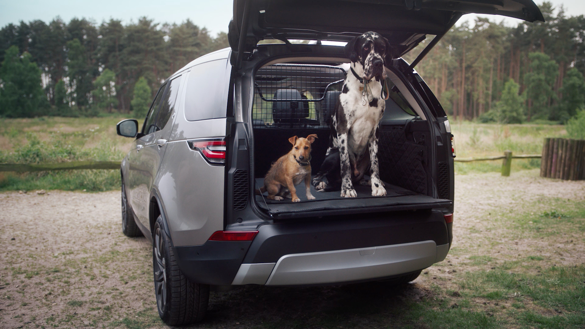 LandRover-Pet-Packs-03 Land Rover Launches New Pet Packs For Your Furry Four-Legged Passengers