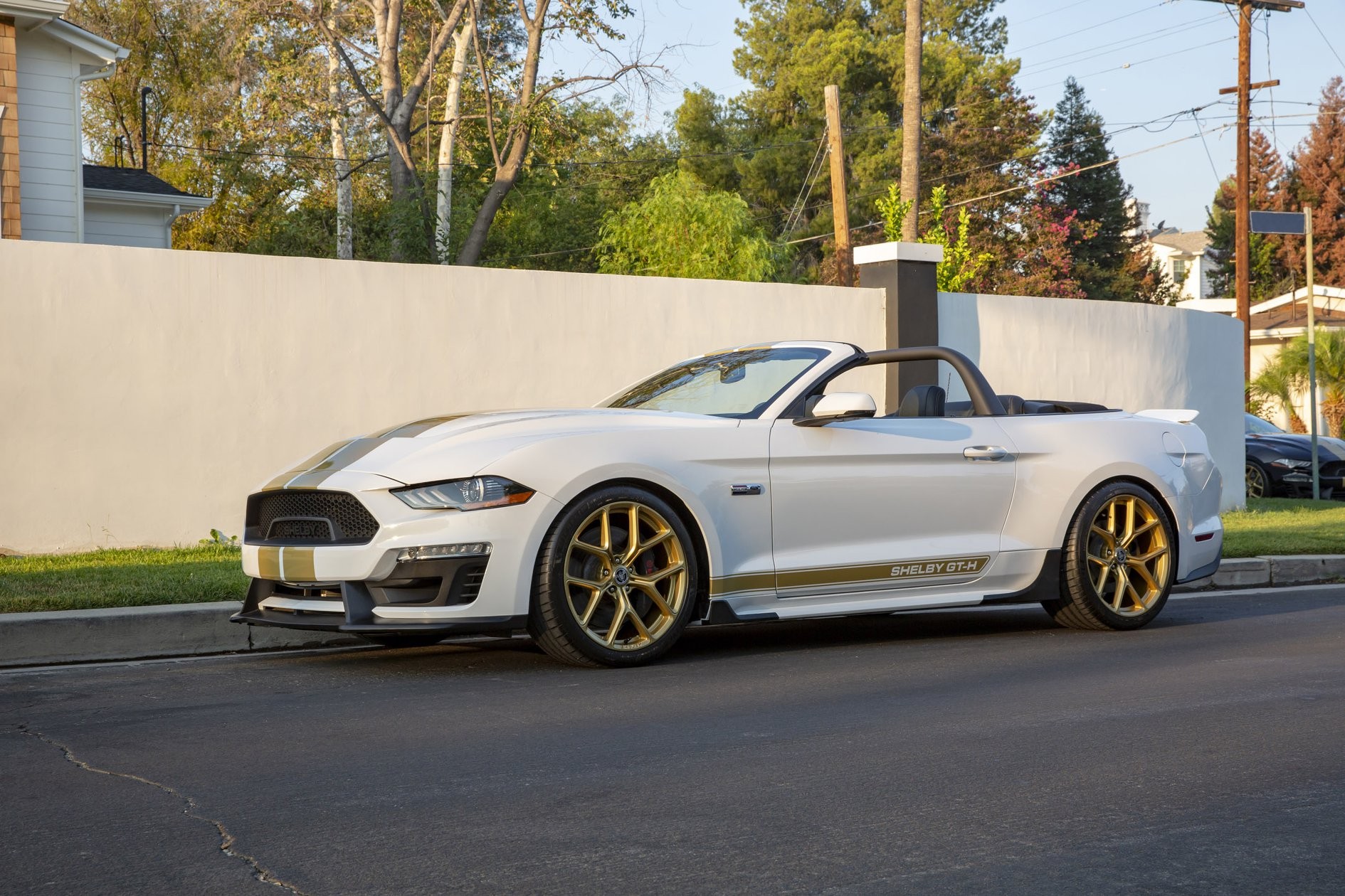 2019 Shelby GT-1 2019 Shelby GT Bows With Ford Performance Parts, 480 Or 700+ HP