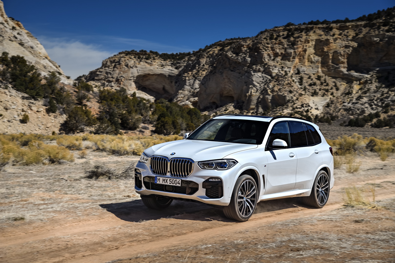 2019-bmw-x5-5 BMW’s Paris Auto Show Lineup Announced, Includes New Z4, 8-Series Models