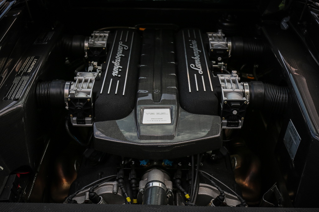 lamborghini-murcielago-versace-13 Show Up At Fashion Shows In A Rare Lamborghini Murcielago Versace