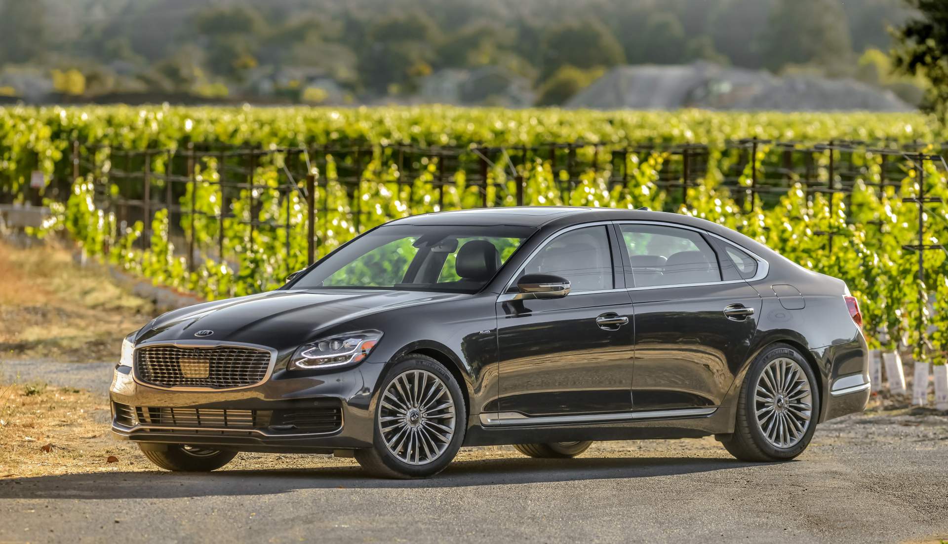 2019 K900 2019 Kia K900 Detailed As Sales Debut Draws Nearer, Pricing TBA