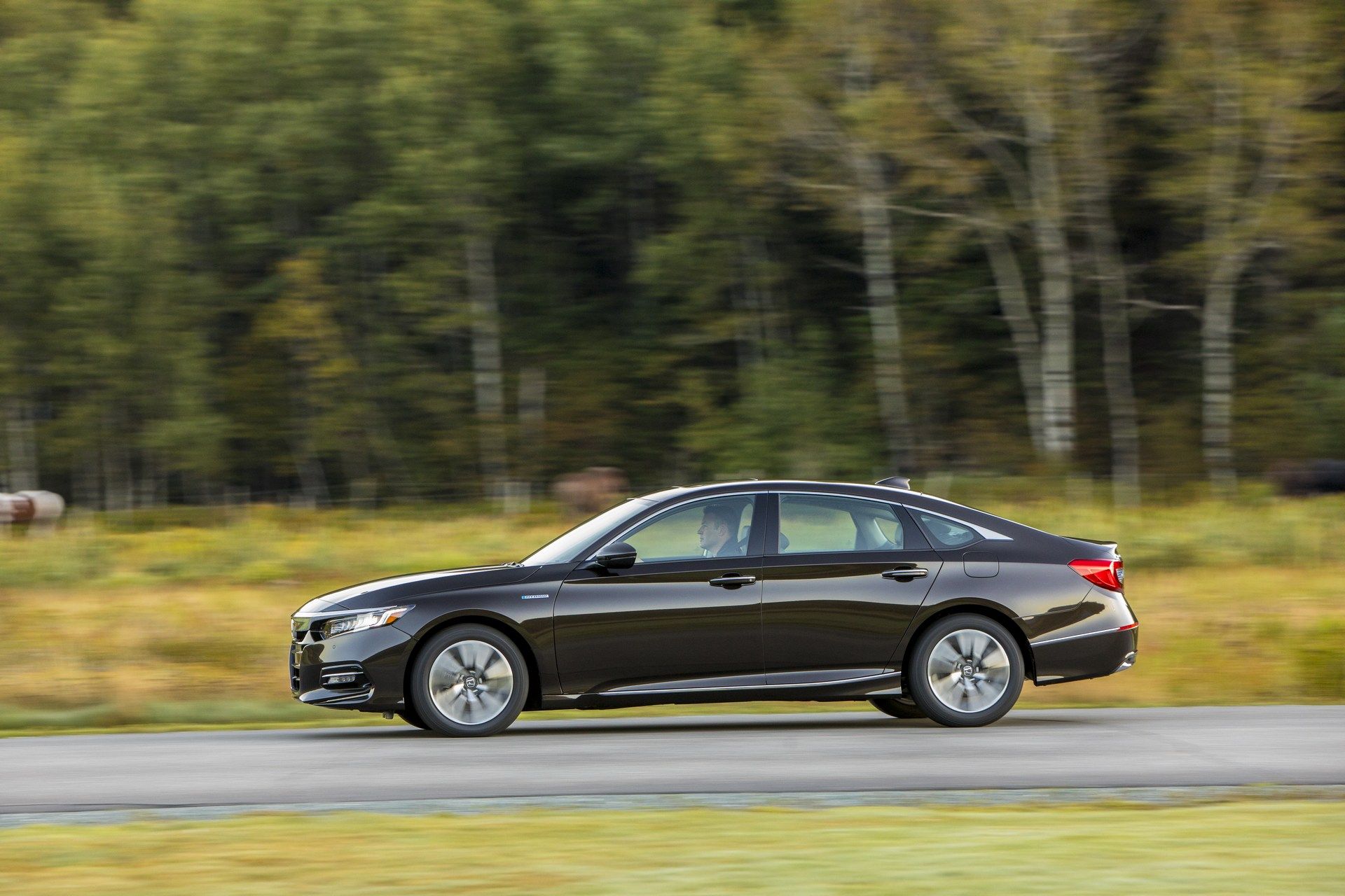 Honda-Backup-Camera-Recall-6 Honda Recalls 2018 Accord And 2019 Insight After Owners Complain About Backup Camera