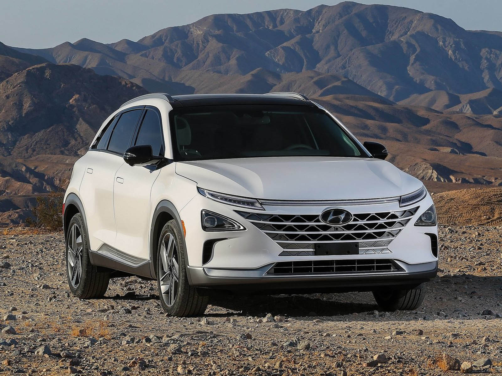 Hyundai-Nexo-2019-1600-03 Here Are All The Contenders For 2019 World Car Of The Year
