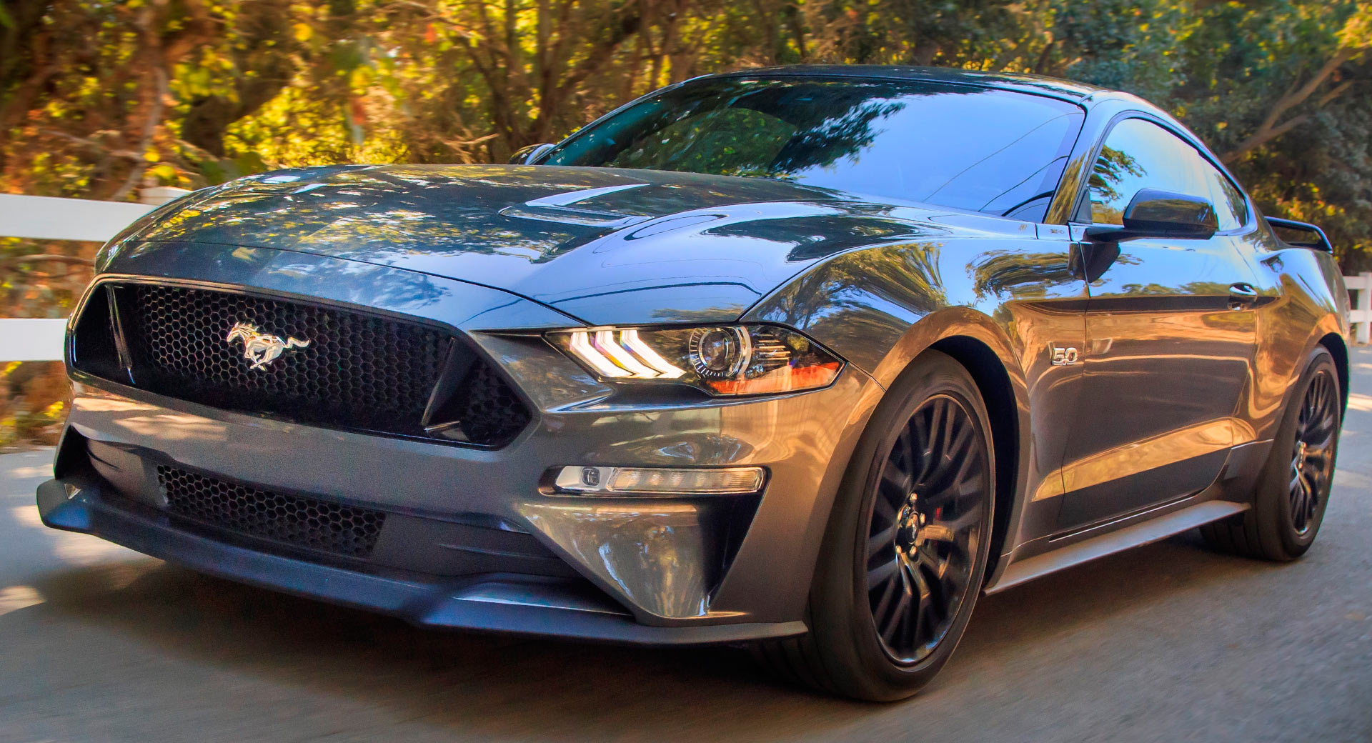 Want the New Ford Mustang GT With 800 HP and a Warranty?