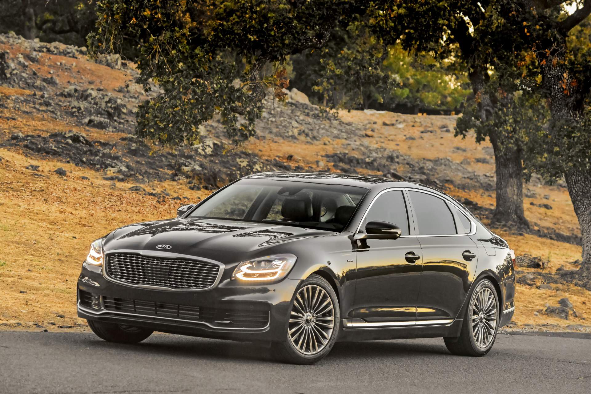 2019 K900 2019 Kia K900 Detailed As Sales Debut Draws Nearer, Pricing TBA
