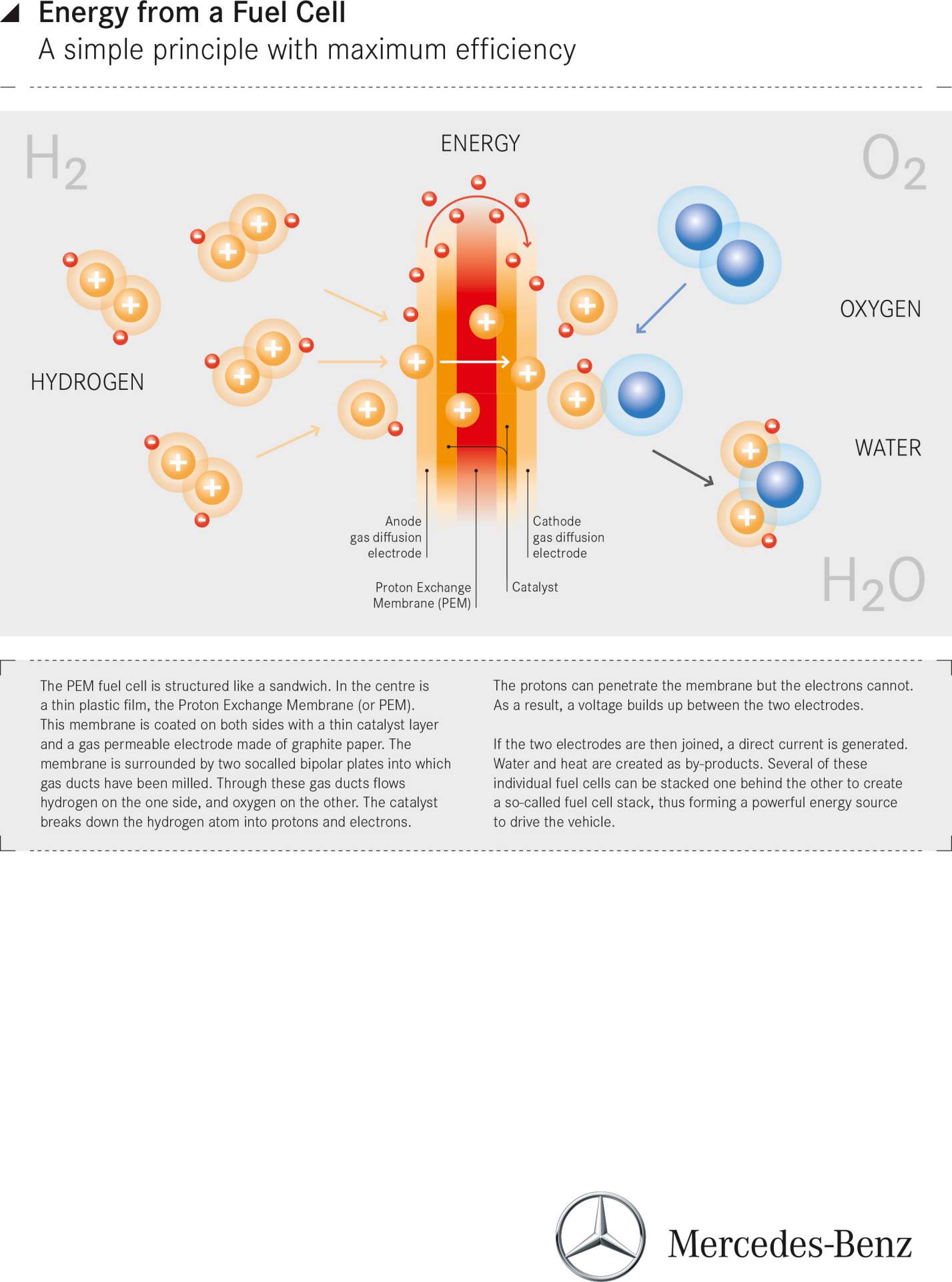 Mercedes-Benz GLC F-CELL; X253; 2017
Mercedes-Benz GLC F-CELL; X253; 2017 Mercedes Drops Full Details On GLC F-Cell Before Deliveries Begin