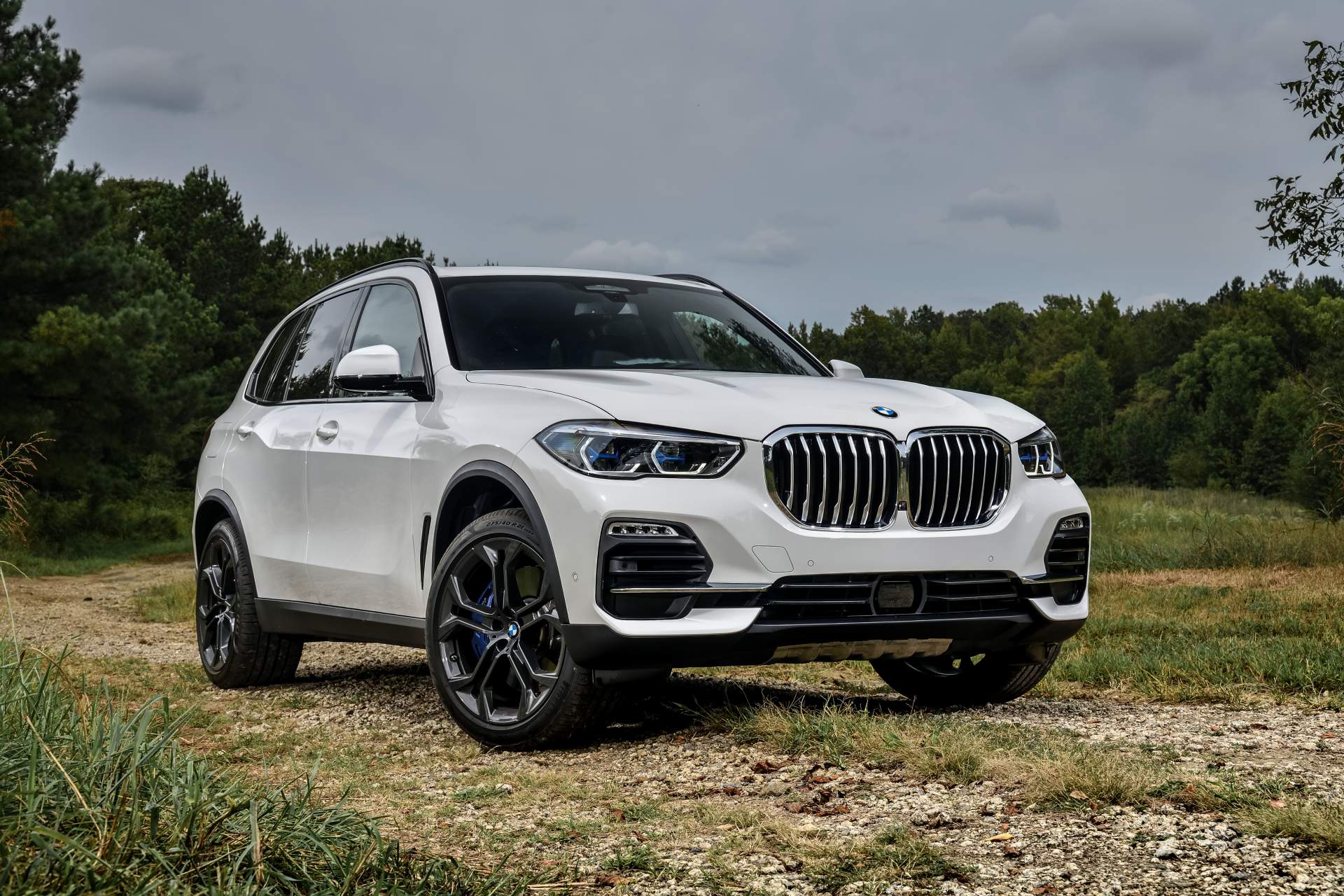 2019 BMW X5 46 Your 2019 BMW X5 Photo Gallery Is Here And It’s Huge
