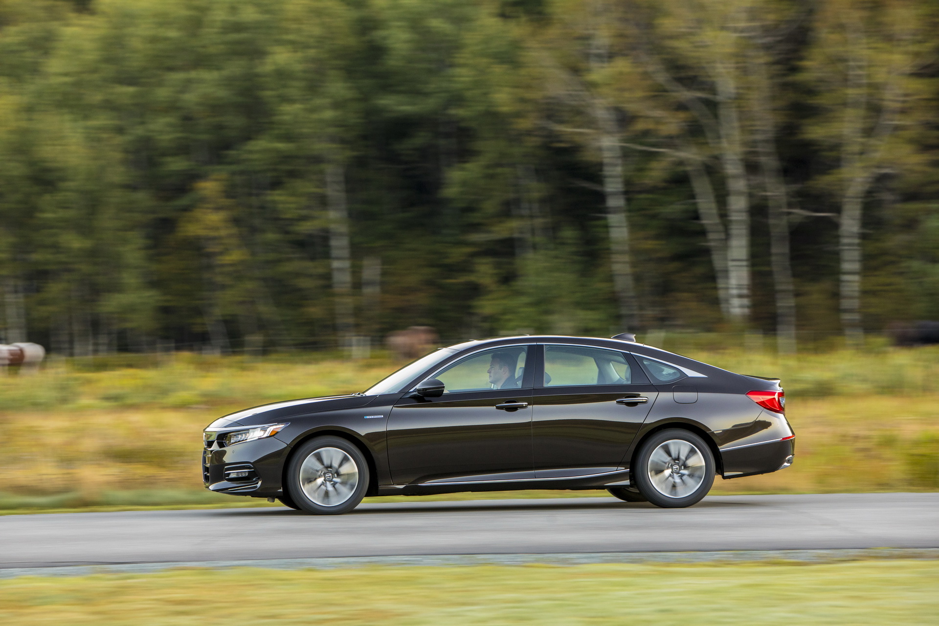 2019 honda accord pricing specs 15 2019 Honda Accord Priced From $23,720 To $35,950, In Showrooms Nov 1