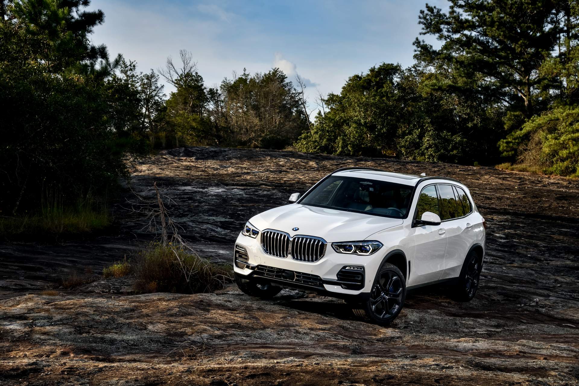 2019 BMW X5 71 Your 2019 BMW X5 Photo Gallery Is Here And It’s Huge