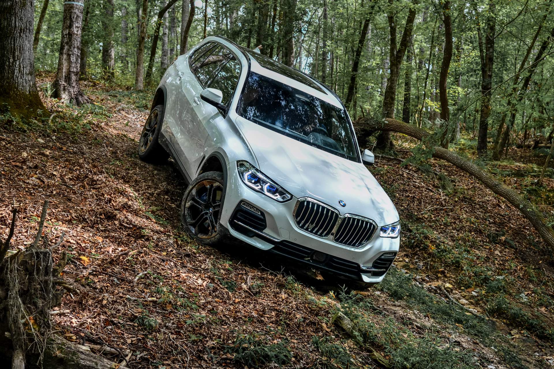 2019 BMW X5 64 Your 2019 BMW X5 Photo Gallery Is Here And It’s Huge