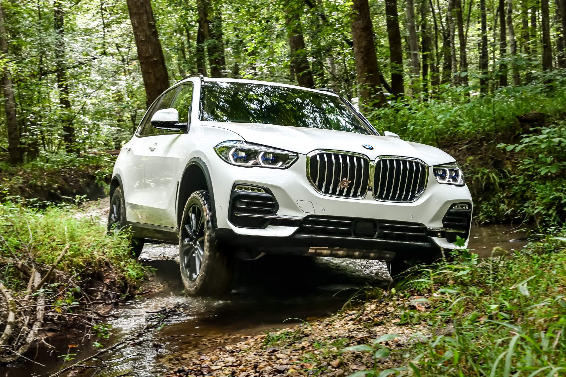 2019 BMW X5 75 Your 2019 BMW X5 Photo Gallery Is Here And It’s Huge