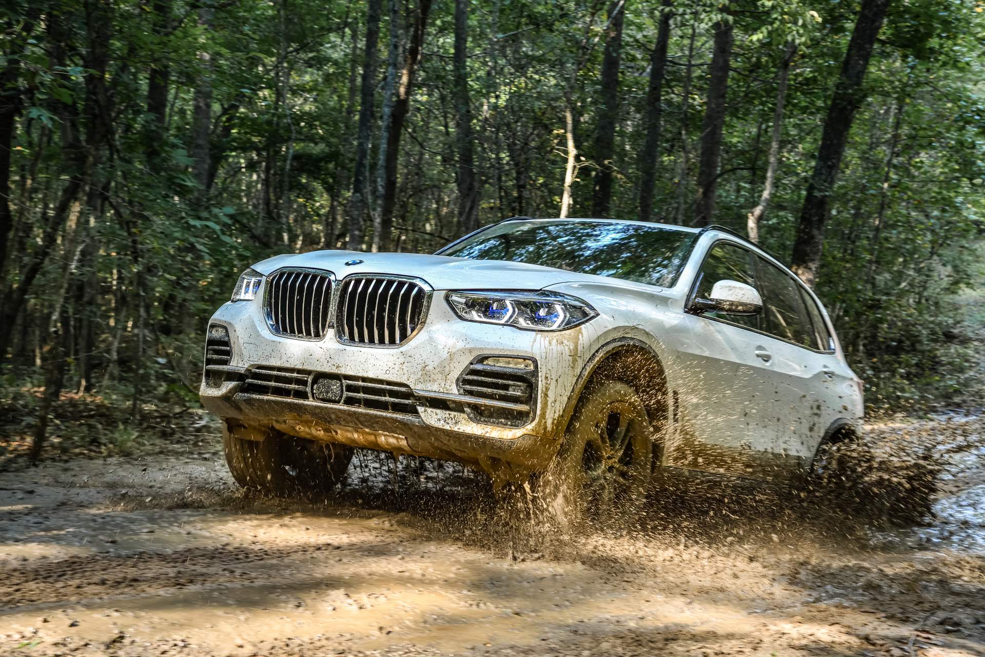 2019 BMW X5 85 Your 2019 BMW X5 Photo Gallery Is Here And It’s Huge