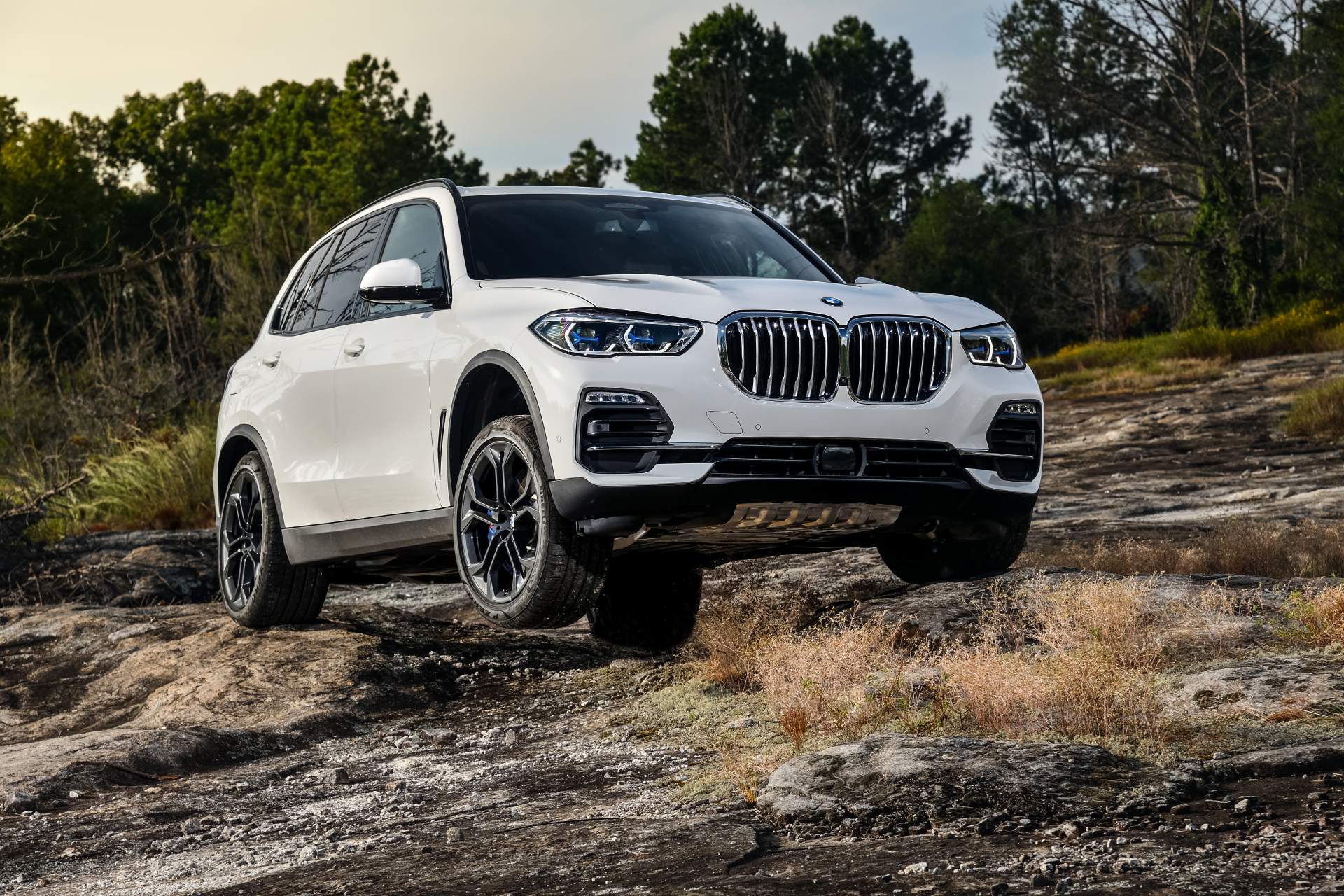 2019 BMW X5 65 Your 2019 BMW X5 Photo Gallery Is Here And It’s Huge