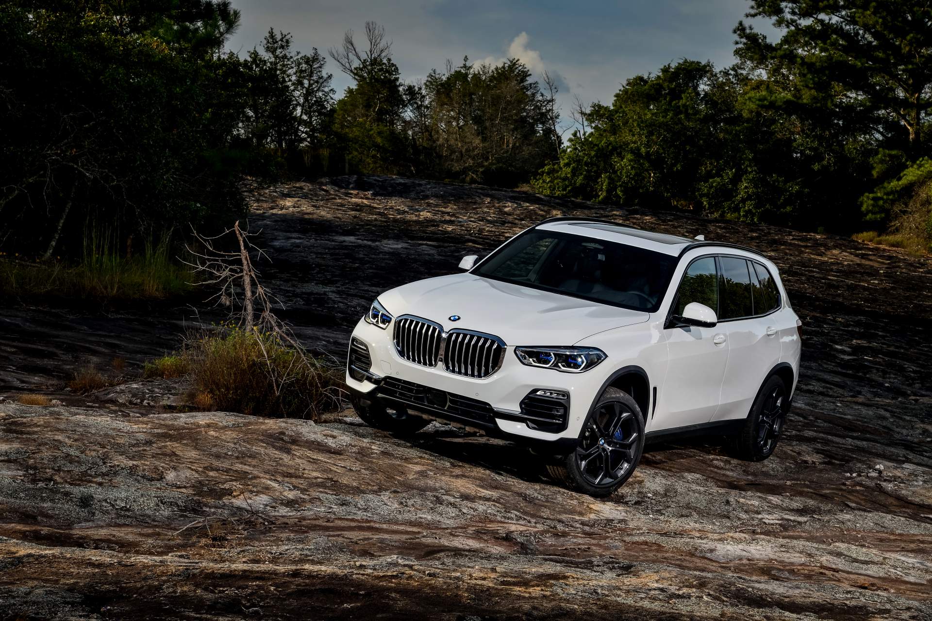 2019 BMW X5 70 Your 2019 BMW X5 Photo Gallery Is Here And It’s Huge