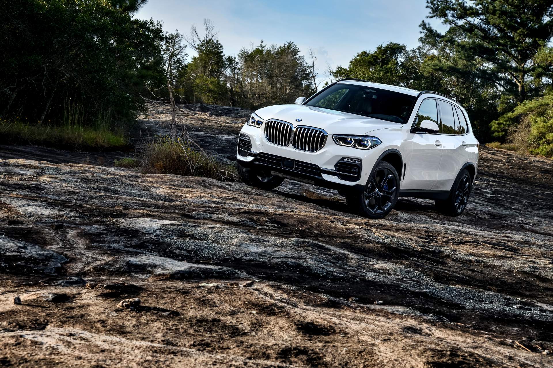 2019 BMW X5 72 Your 2019 BMW X5 Photo Gallery Is Here And It’s Huge