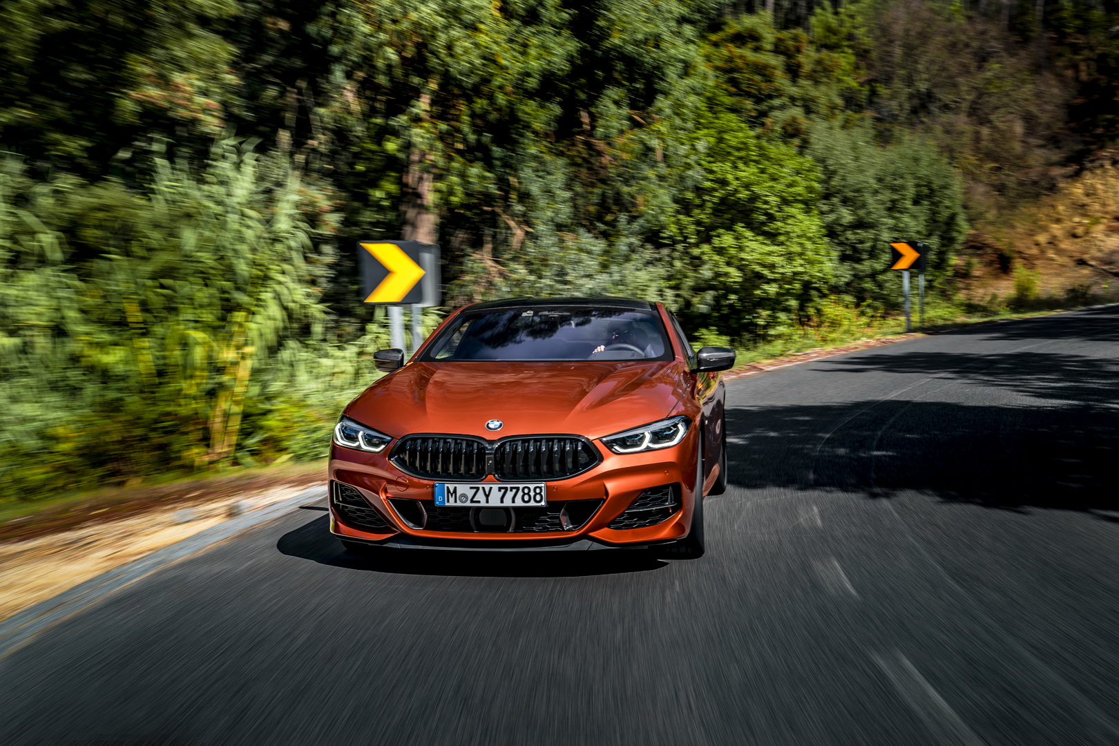 2019 bmw 8-series coupe 274 Get A Heavy Dose Of BMW’s New 8-Series Coupe In 282 Images, 7 Videos
