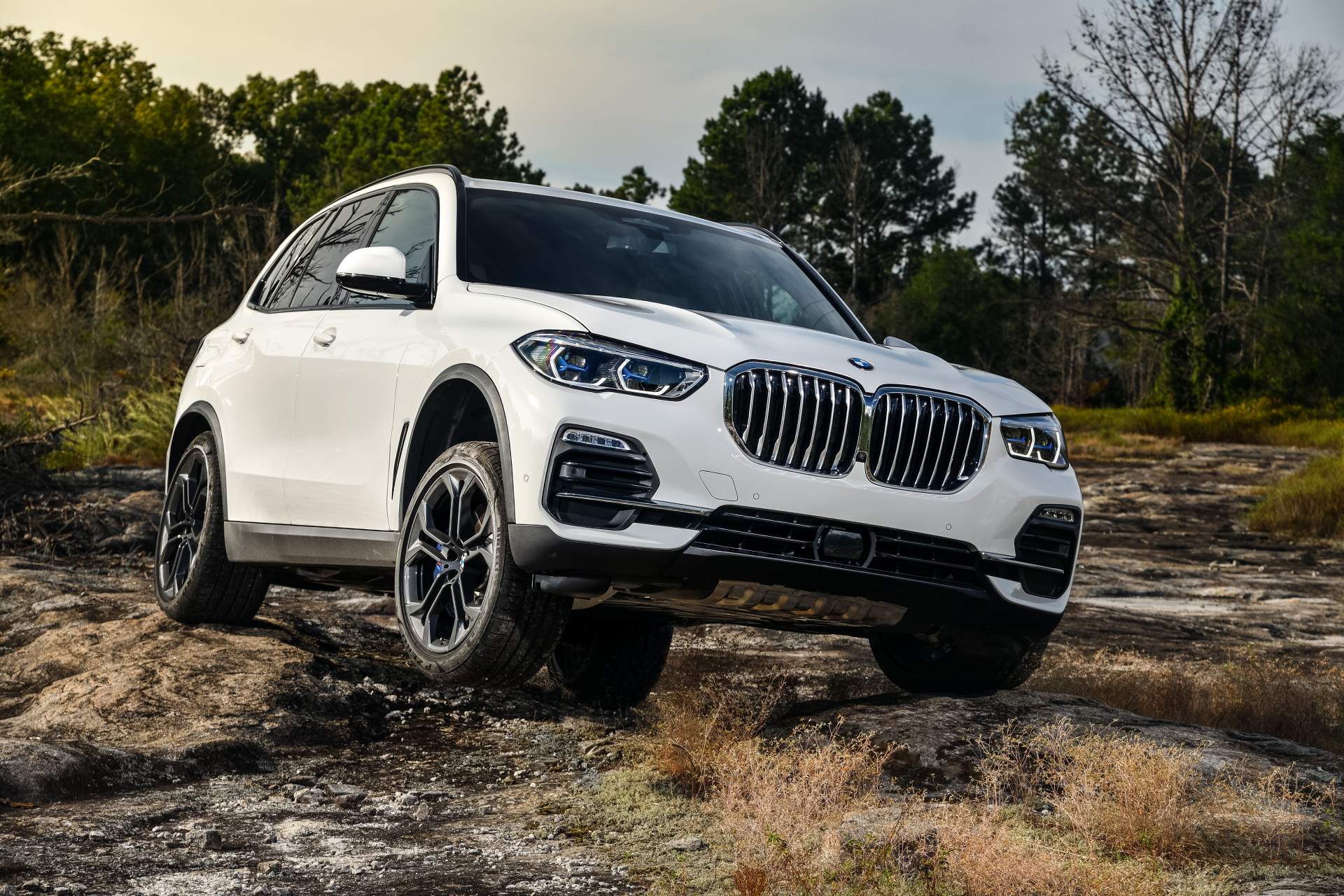 Your 2019 BMW X5 Photo Gallery Is Here And It's Huge ...