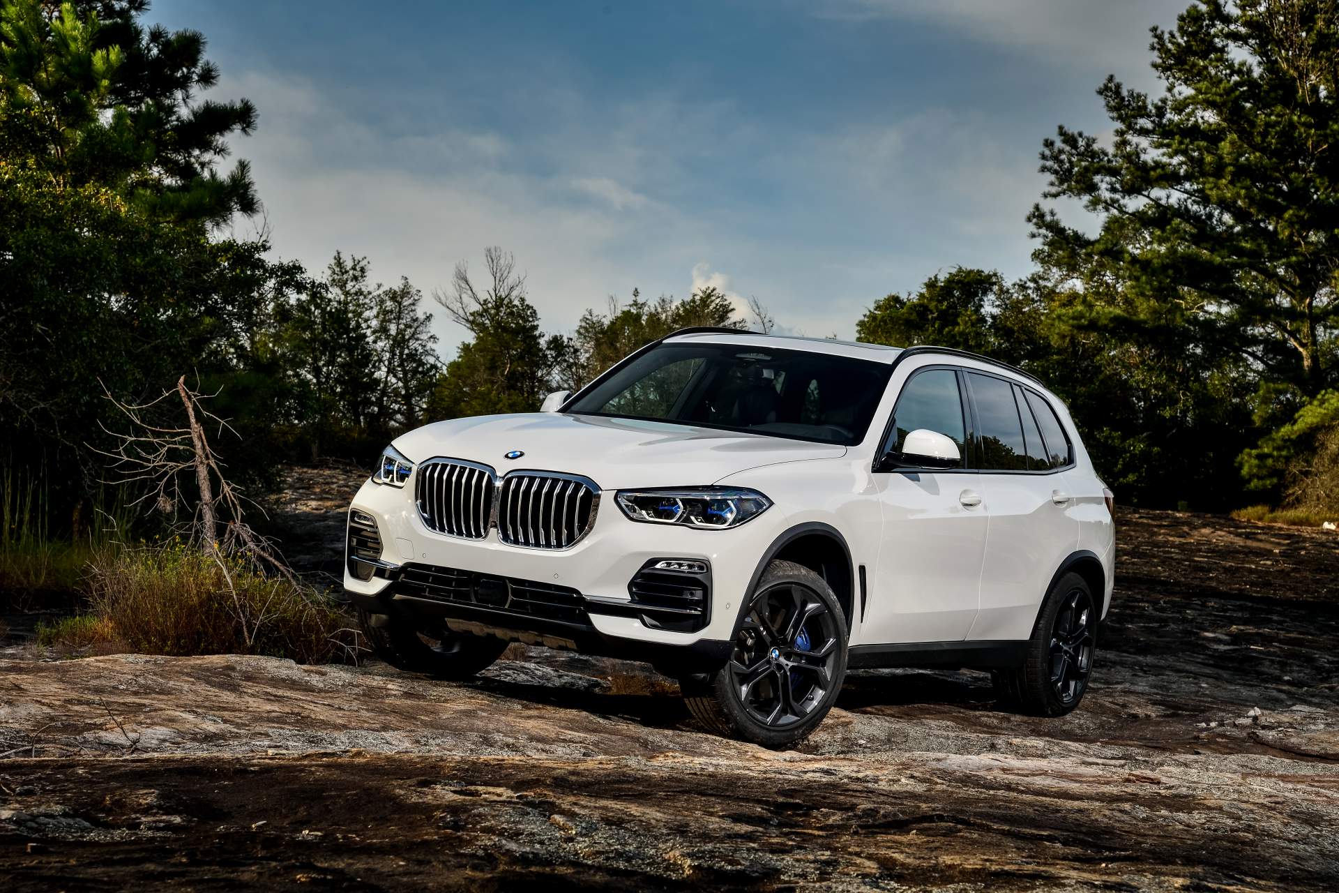 2019 BMW X5 69 Your 2019 BMW X5 Photo Gallery Is Here And It’s Huge