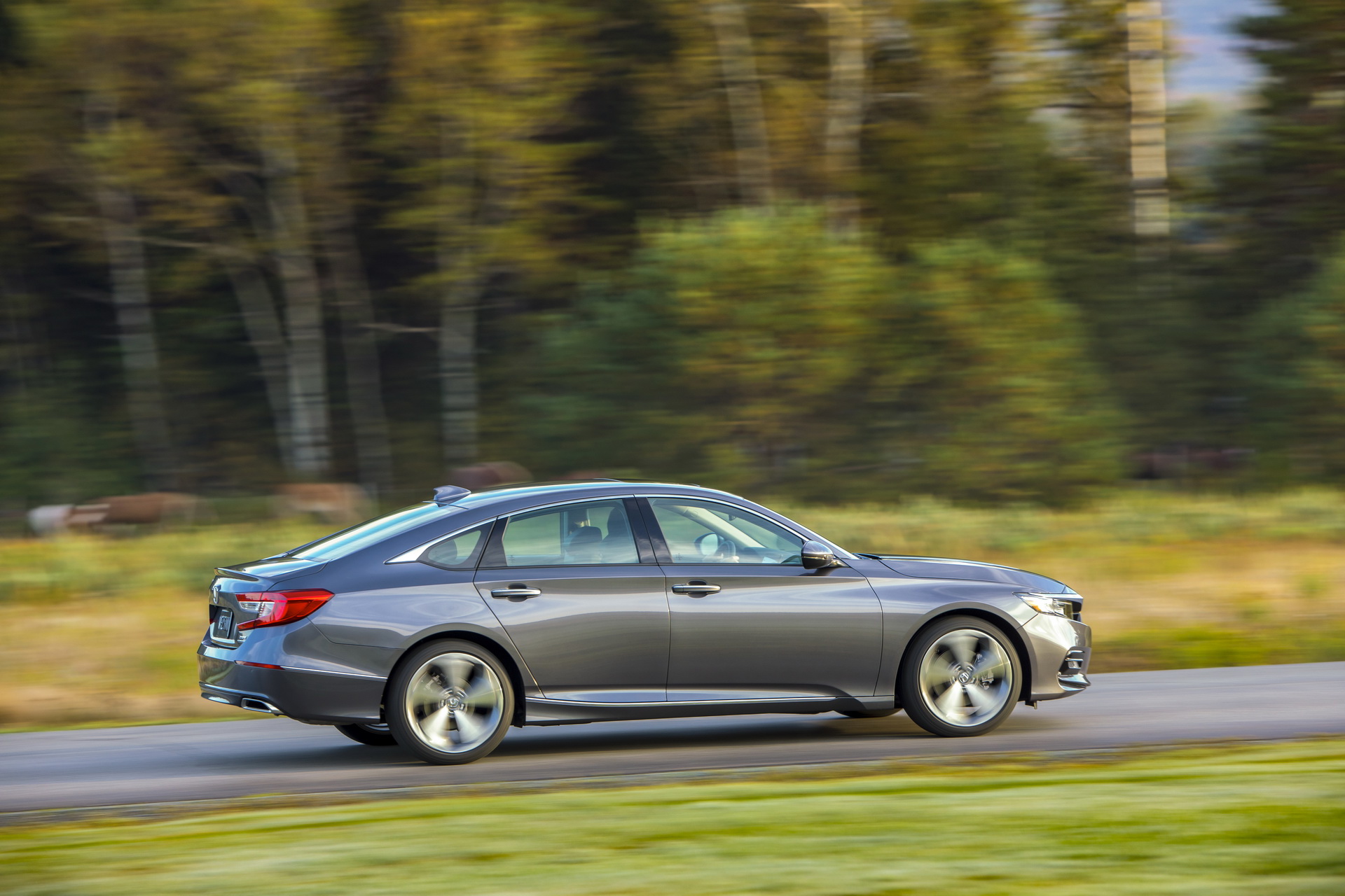 2019 honda accord pricing specs 85 2019 Honda Accord Priced From $23,720 To $35,950, In Showrooms Nov 1