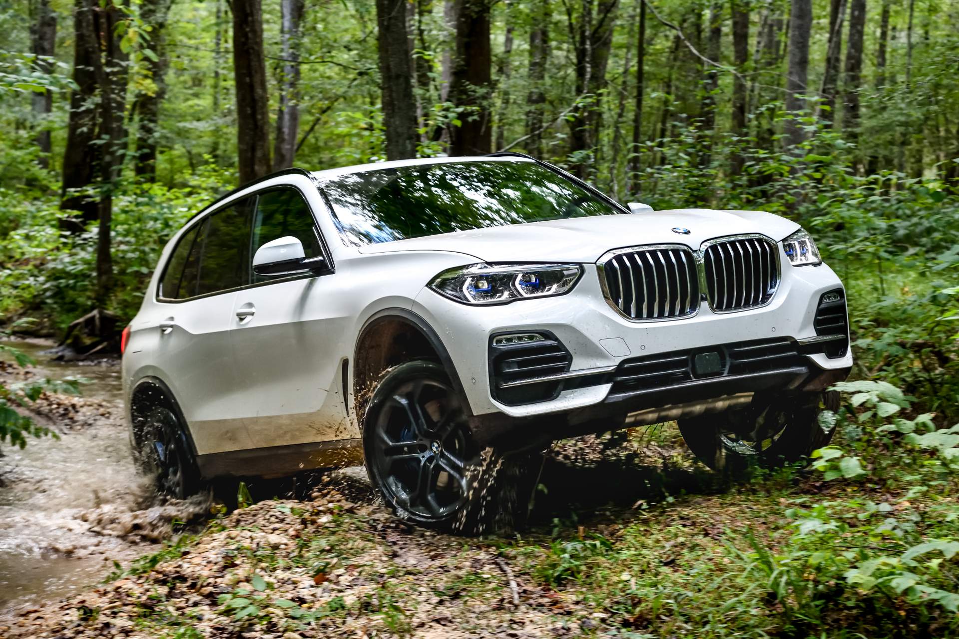 2019 BMW X5 74 Your 2019 BMW X5 Photo Gallery Is Here And It’s Huge