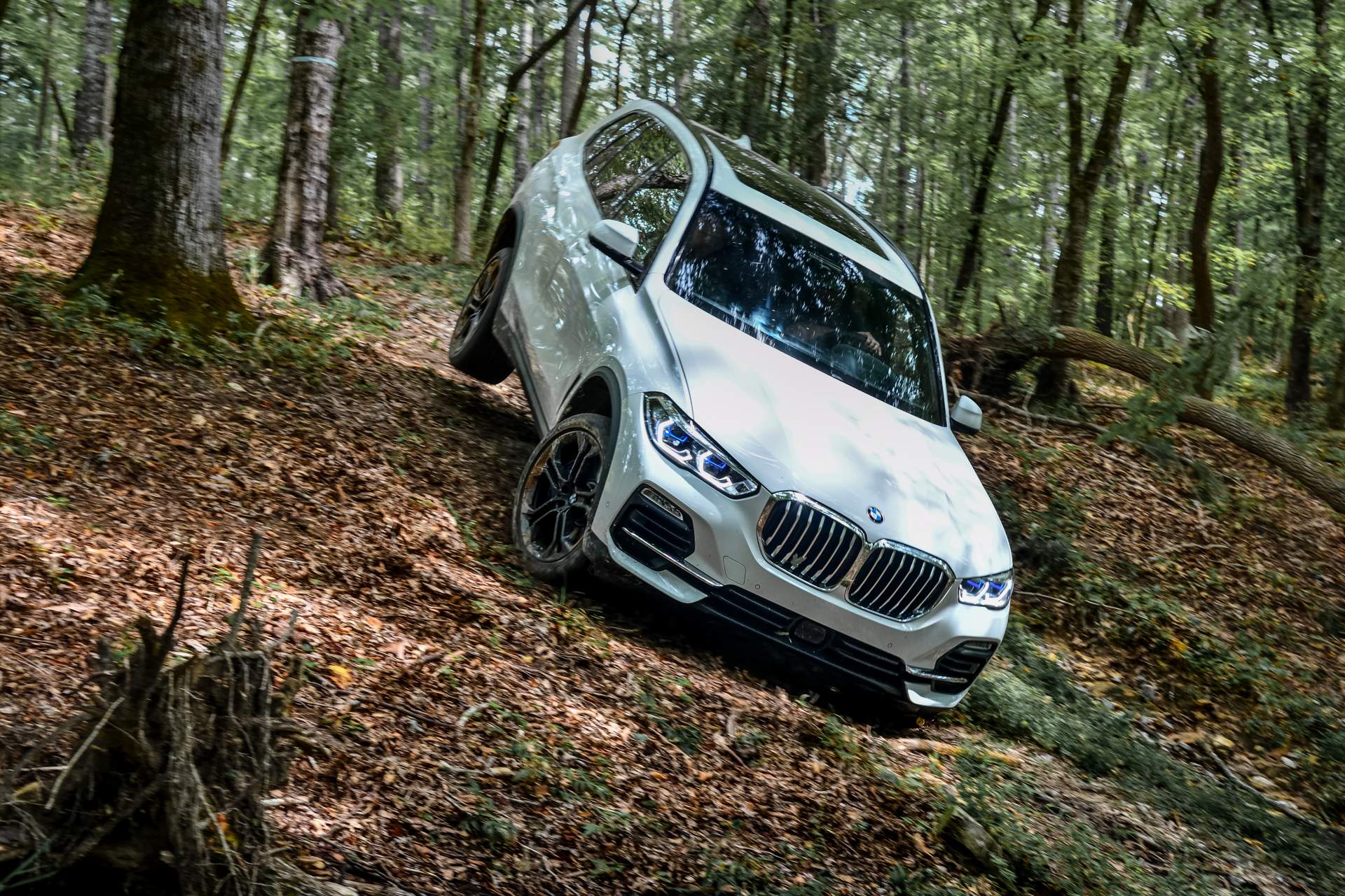 2019 BMW X5 63 Your 2019 BMW X5 Photo Gallery Is Here And It’s Huge