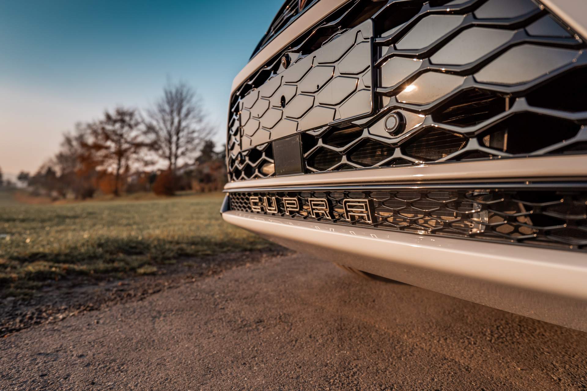 Cupra Ateca by ABT Sportsline 7 ABT Sportsline Bringing 350 PS Cupra Ateca To Essen Motor Show