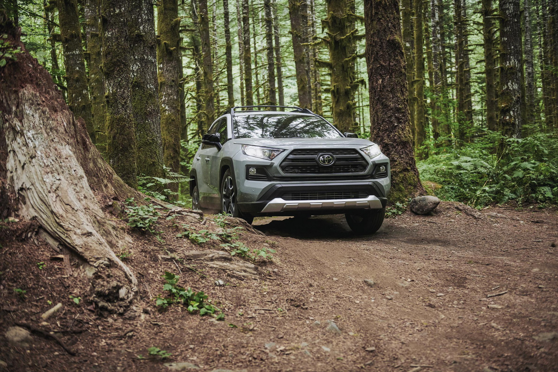 2019 toyota rav4 australian launch 3 2019 RAV4 Is First-Ever Hybrid Toyota SUV To Make It To Australia