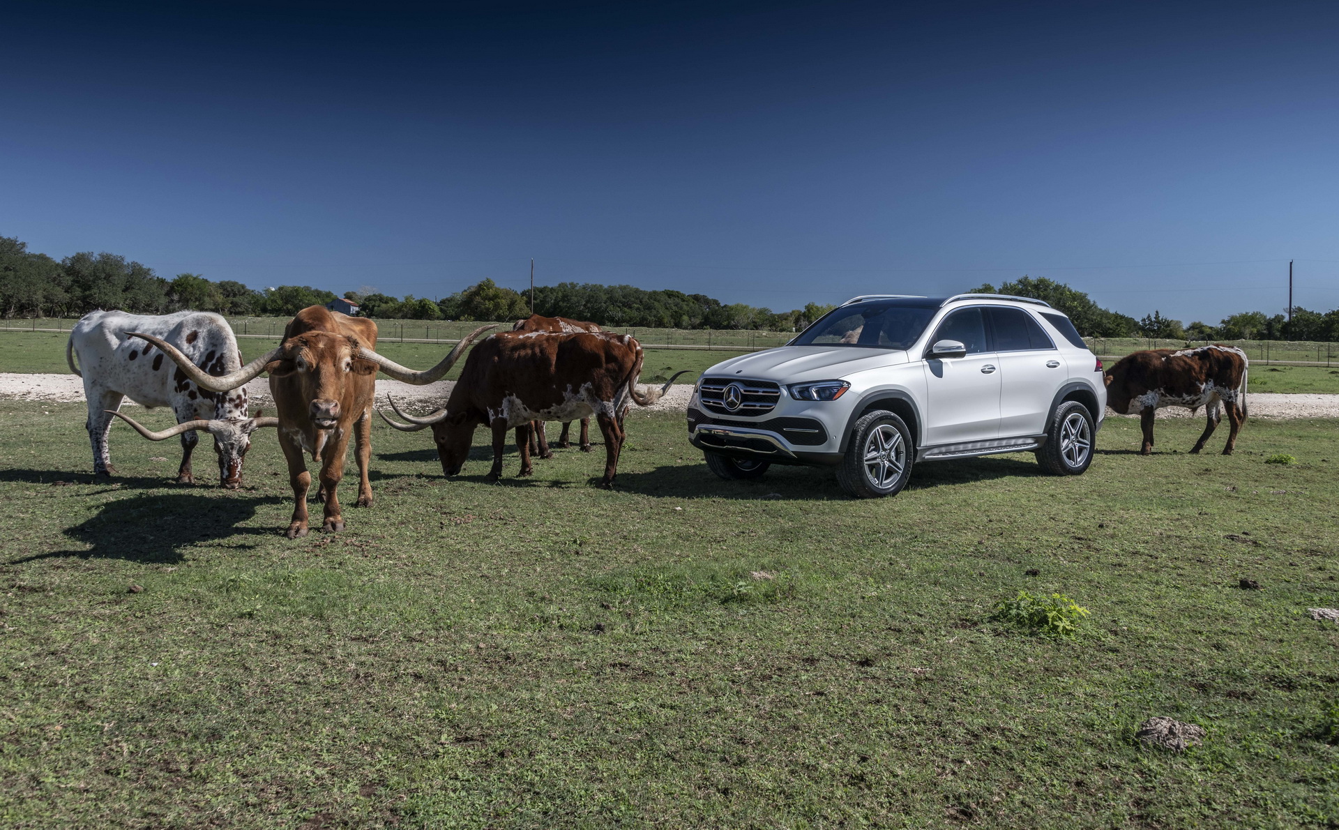 2019-Mercedes-GLE-37 2019 Mercedes GLE Detailed: More Tech, More Space, More Everything