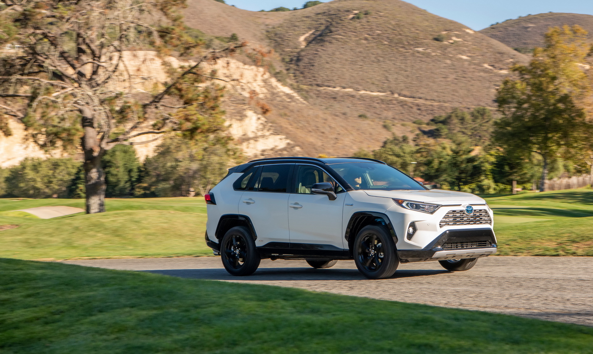 2019-Toyota-RAV4-49 2019 Toyota RAV4 Starts From $26,545: All The Details On Prices, Grades And Equipment