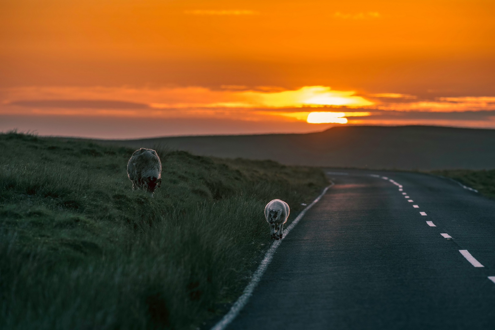 2019 ford mustang bullitt isle of man 27 Ford Mustang Bullitt Takes On The Isle Of Man’s Demanding TT Mountain Road