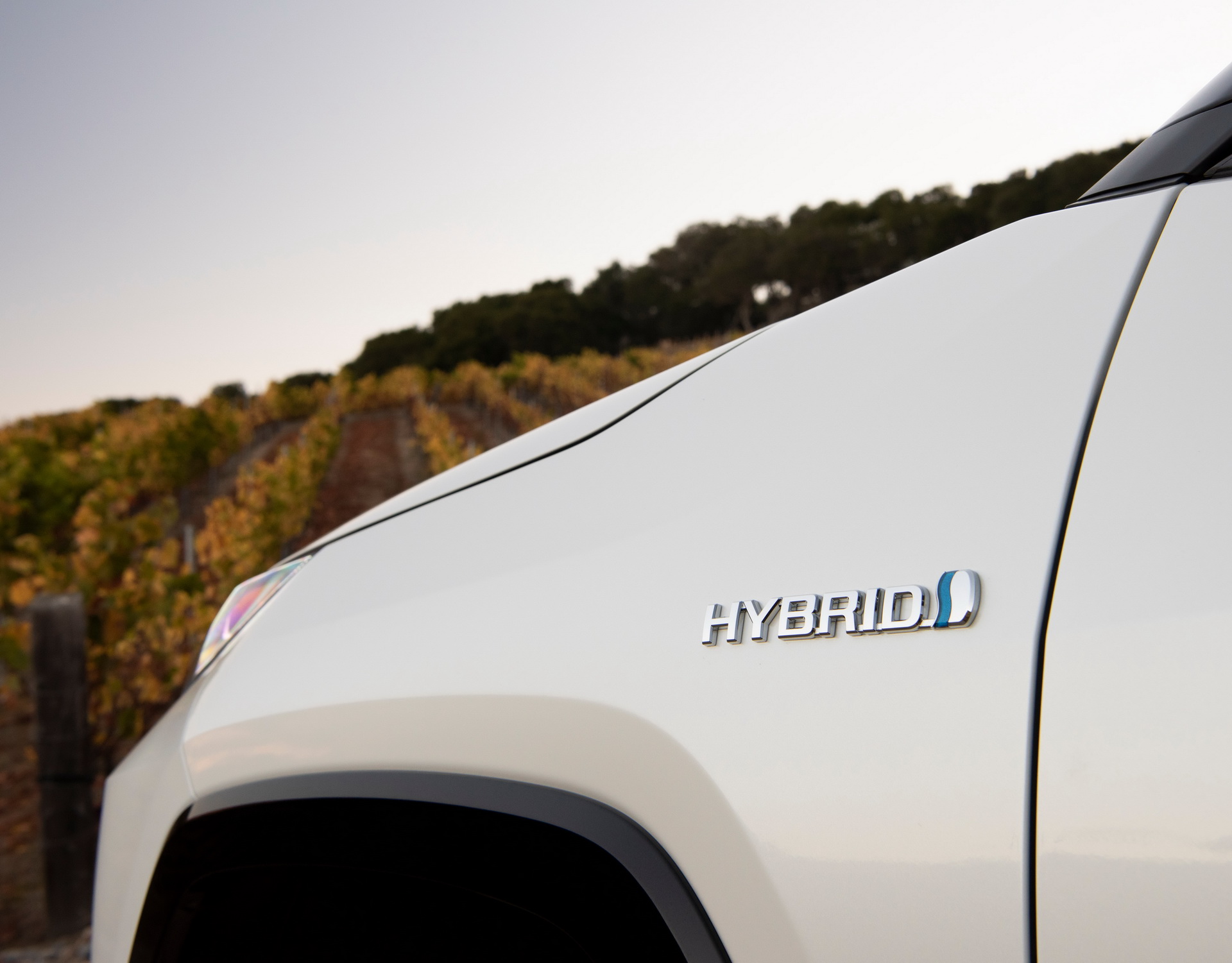 2019-Toyota-RAV4-39 2019 Toyota RAV4 Starts From $26,545: All The Details On Prices, Grades And Equipment