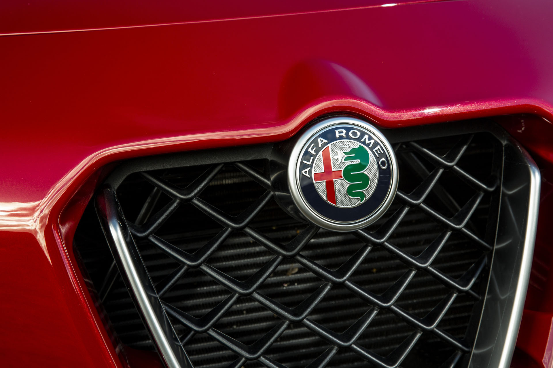 2019-alfa-romeo-stelvio-quadrifoglio-110 Start Your Morning Off Right With 125 Photos Of The Alfa Romeo Stelvio Quadrifoglio