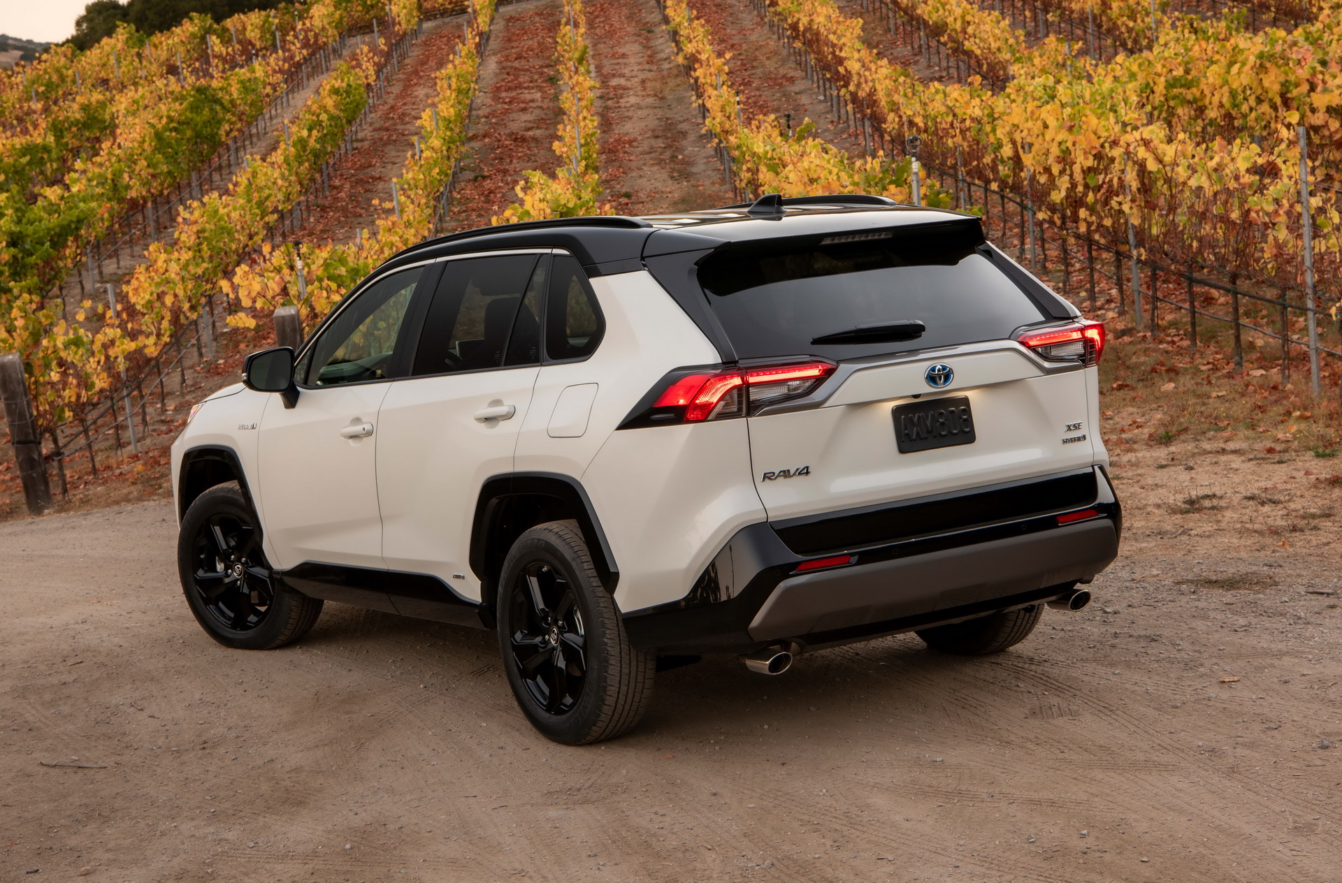 2019-Toyota-RAV4-33 2019 Toyota RAV4 Starts From $26,545: All The Details On Prices, Grades And Equipment