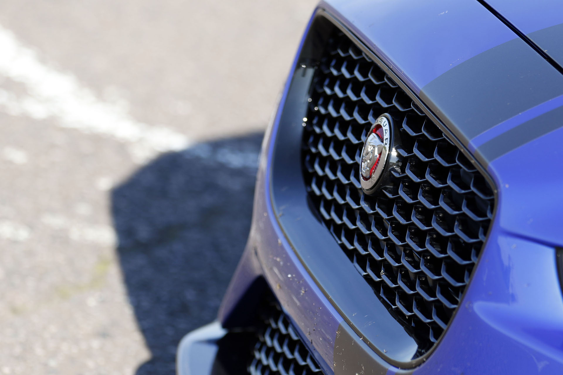 jaguar-xe-sv-project-8-series-elite-09 Race A Jaguar XE SV Project 8 In The Series Elite