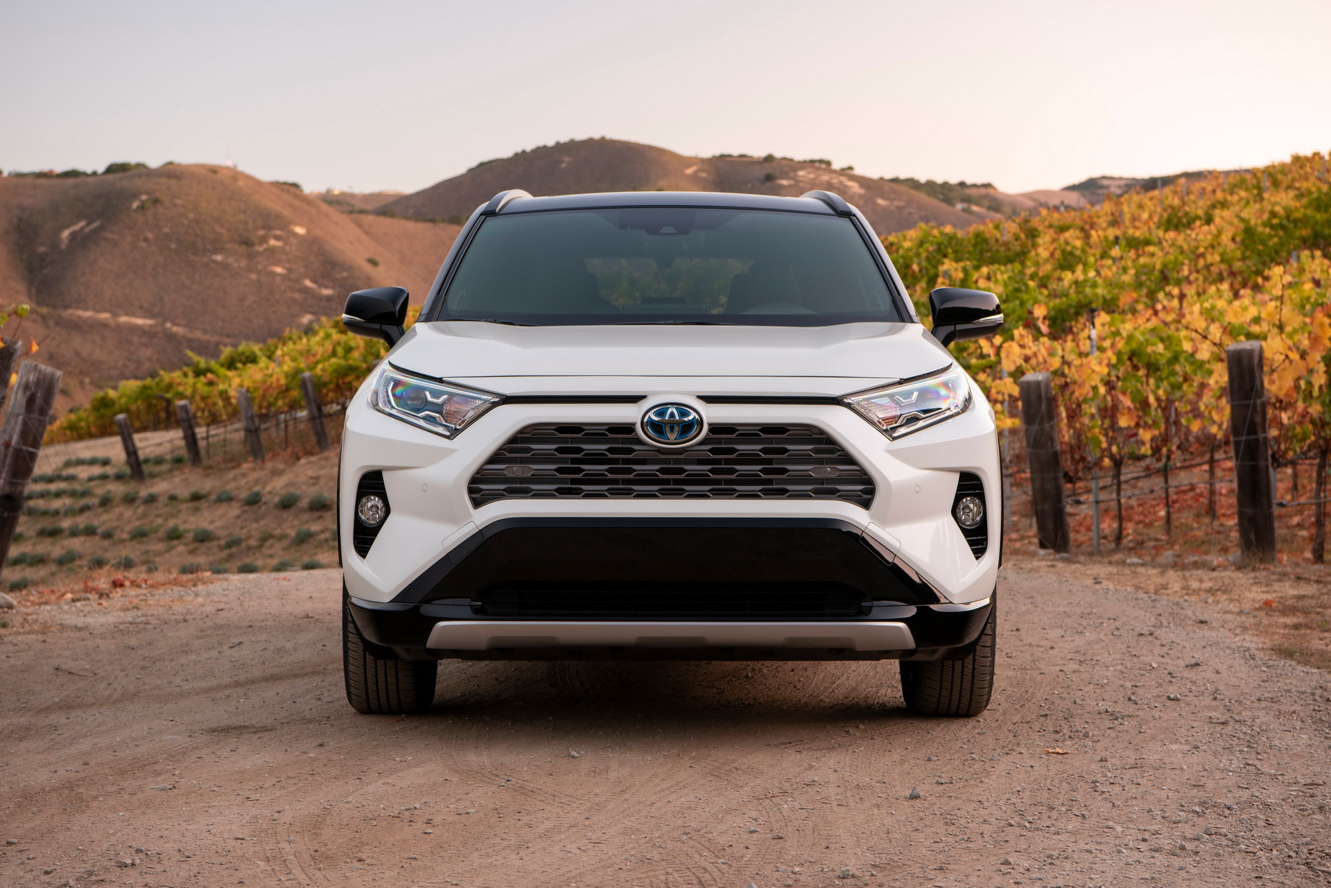 2019-Toyota-RAV4-31 2019 Toyota RAV4 Starts From $26,545: All The Details On Prices, Grades And Equipment
