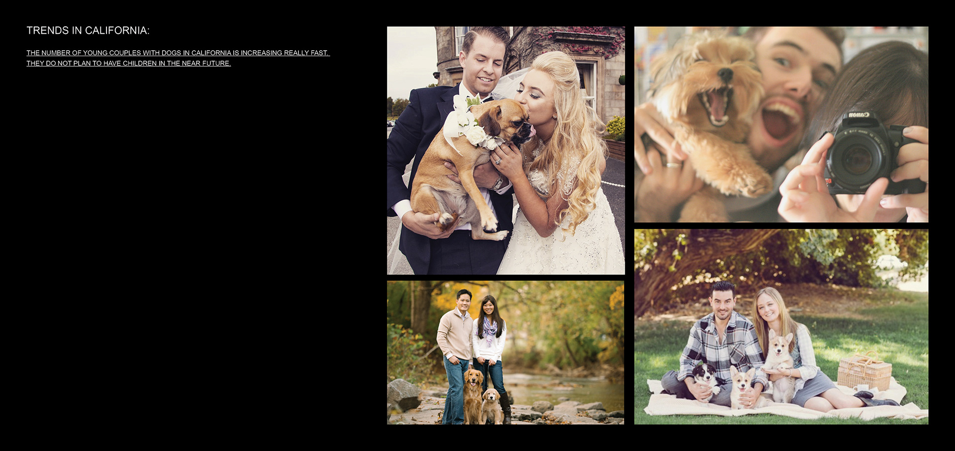 Lynk-And-Co-Coupe-Renderings-2 Lynk & Co Needs A Sexy Coupe Just Like This