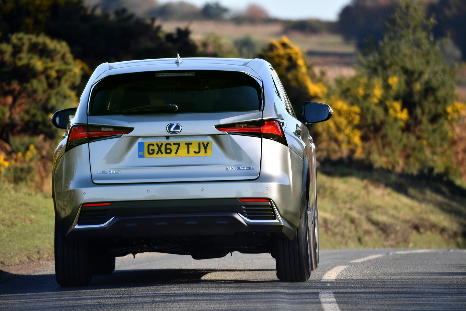 lexus nx 300h 9 2019 Lexus NX And RX Order Books Now Open In The UK