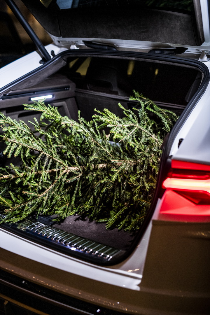 lamborghini urus lm002 98 Lamborghini Urus Convoy Embarks On Special Journey, LM002 Leads The Pack